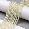 Electroplate Transparent Glass Beads Strands X1-GLAA-H021-01B-FR04-3