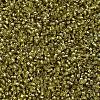 MIYUKI Delica Beads X-SEED-J020-DB2164-3