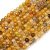 Natural Agate Beads Strands X-G-H302-A01-14-2