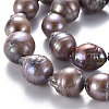 Natural Baroque Pearl Keshi Pearl Beads Strands PEAR-S021-198B-01-3