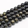 Natural Golden Sheen Obsidian Beads Strands G-R446-14mm-23-1