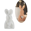 Rabbit Shape DIY Display Decoration Silhouette Silicone Molds DIY-K073-08C-1