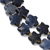 Natural Dyed & Heated Blue Aventurine Beads Strands G-P573-C09-01-4