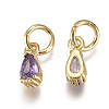 Brass Micro Pave Cubic Zirconia Charms ZIRC-F111-04G-03-2