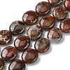 Natural Brecciated Jasper Beads Strands G-K365-B20-03-1