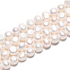 Natural Cultured Freshwater Pearl Beads Strands PEAR-N027-04B-2