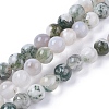 Natural Tree Agate Beads Strands X-G-L533-22-1