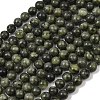 Natural Gemstone Beads Z0SRR014-1