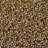 MIYUKI Delica Beads X-SEED-J020-DB2155-3