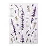 Flower Pattern Waterproof Self Adhesive Hot Stamping Stickers DIY-I063-07-2