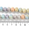 Natural Rainbow Alashan Agate Beads Strands G-NH0022-H01-01-5