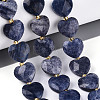 Natural Blue Aventurine Beads Strands G-P592-B09-01-1