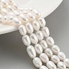 Natural Cultured Freshwater Pearl Beads Strands PEAR-P062-08L-1
