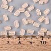 FGB Frosted Transparent Glass Seed Beads SEED-N013-05A-03-4