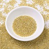 MIYUKI Delica Beads SEED-MY11-DB0042-2