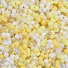 Glass Seed Beads SEED-K010-03A-2