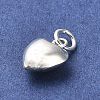 925 Sterling Silver Pendants LS-STER-P057-07C-S-2