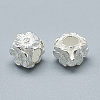 925 Sterling Silver European Beads STER-T002-43S-2