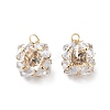 Clear Glass Charms KK-M233-31G-1