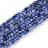 Natural Sodalite Beads Strands X-G-G139-A07-02-1