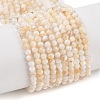 Natural Freshwater Shell Beads Strands SHEL-T011-02-4mm-1