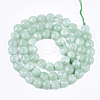 Natural Myanmar Jade/Burmese Jade Beads Strands G-T108-48-2
