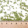 TOHO Round Seed Beads SEED-XTR11-0946FM-4