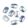 Natural Turbo Cornulus/Top Shells Cabochons SSHEL-N003-153A-2