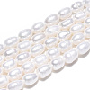 Natural Cultured Freshwater Pearl Beads Strands PEAR-N012-03E-3