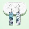 Brass Abalone Shell Dangle Earrings EJEW-C161-01C-5