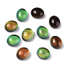 Glass Cabochons X-GLAA-R218-01-2