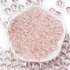 Transparent Colours Glass Seed Beads SEED-Z004-T8MM-09-2