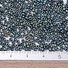 MIYUKI Round Rocailles Beads X-SEED-G007-RR2008-4