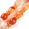 Natural Agate Beads Strands G-H024-E01-01-1