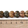 Natural Picasso Stone/Polychrome Jasper Beads G-D098-B02-5
