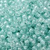 (Defective Closeout Sale: Fading) Glass Seed Beads SEED-XCP0001-30-3