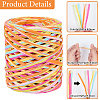 6 Colors Raffia Paper Cords OCOR-WH0063-110A-5