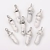 Natural Howlite Double Terminated Pointed Pendants G-F295-04F-3