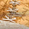 Preciosa® MAXIMA Crystal Round Stones X-PRC-RASS47-00030-279-5