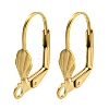 Ion Plating(IP) 304 Stainless Steel Leverback Earring Findings STAS-P360-02C-G-1
