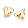 Brass Pendants KK-T073-07G-2