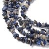 Natural Sodalite Chips Beads Strands LS-F024-6