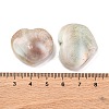 Natural Shiva Eye Shell Cabochons SHEL-H006-01A-3