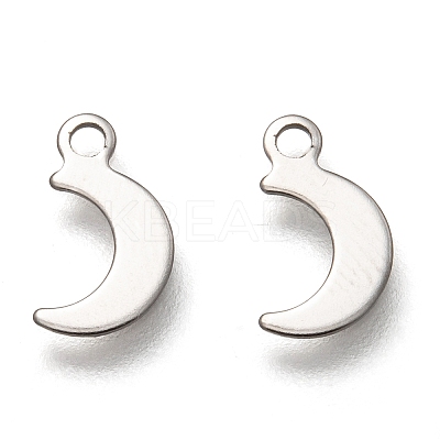 Non-Tarnish 201 Stainless Steel Charms X-STAS-B001-11P-1