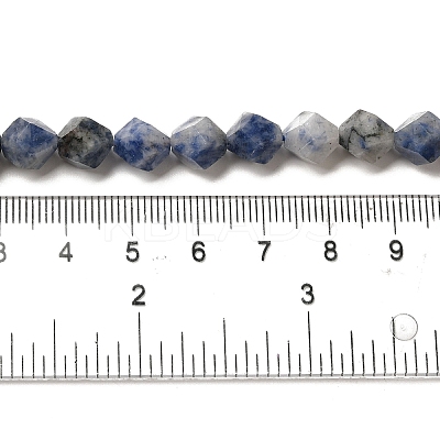 Natural Blue Spot Stone Beads Strands G-K382-A12-02-1