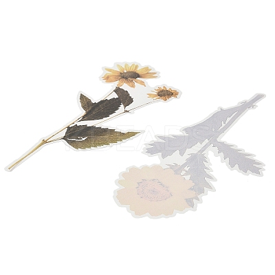 6Pcs Plant PET Adhesive Waterproof Stickers DIY-K074-01D-1