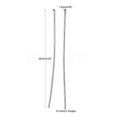 Tarnish Resistant 304 Stainless Steel Flat Head Pins X-STAS-R046-65mm-1