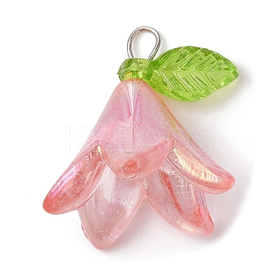 6Pcs Transparent Acrylic Pendants PALLOY-JF02300-02-1