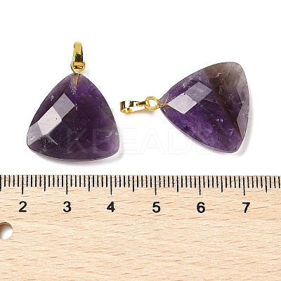 Natural Amethyst Pendants G-L614-D04-G01-1