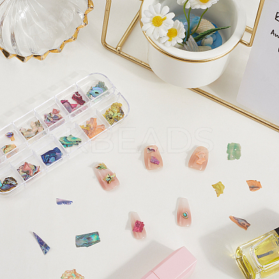 1 Set 12 Colors Shell Slices MRMJ-SP0001-05A-1
